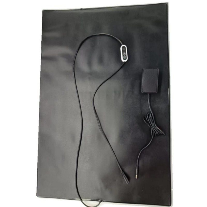 পিভিসি পোষা প্রাণী গরম ম্যাট 12V গরম প্যাড 60x40cm সঙ্গে তাপমাত্রা নিয়ামক কুকুর বিড়াল জন্য