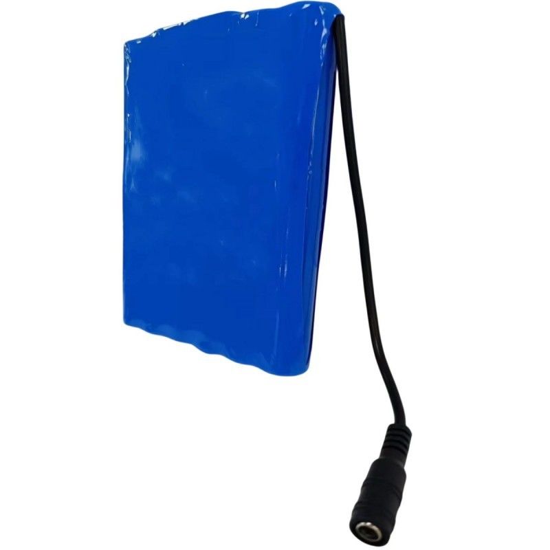 স্লিম 18650 ব্যাটারি প্যাক 6S2P 22.2V 5Ah সঙ্গে ডিসি 5.5x2.1mm সংযোগকারী BMS উপরে