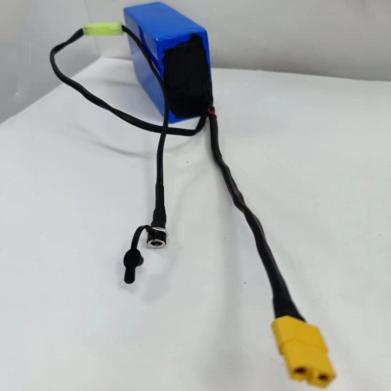 কাস্টমাইজড 18650 ব্যাটারি প্যাক 36V 2600mAh 10 সেল সঙ্গে ছোট Tamiya ট্রান্সফার প্লাগ চার্জ করার জন্য
