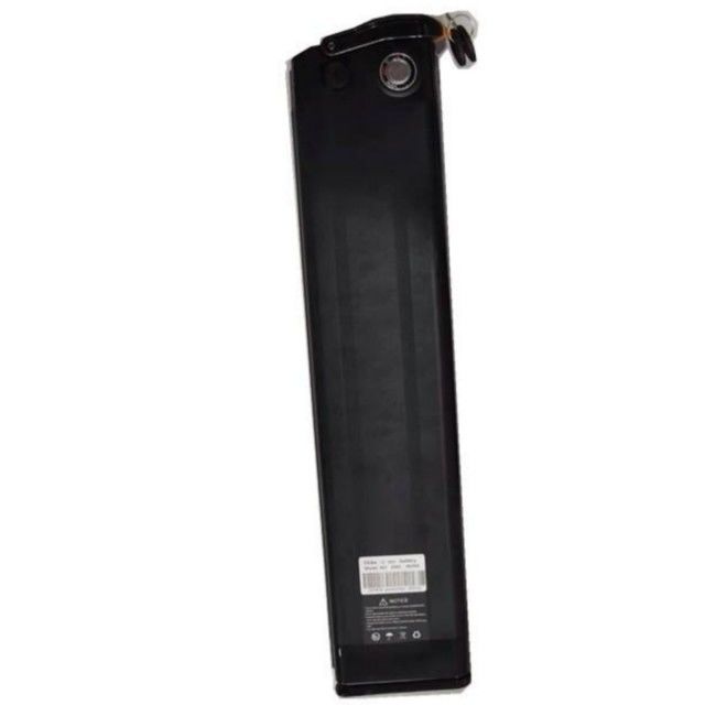 সিলভার ফিশ লিথিয়াম ব্যাটারি 48V 25Ah দৈর্ঘ্য 630mm চার্জার সহ ই বাইকের জন্য