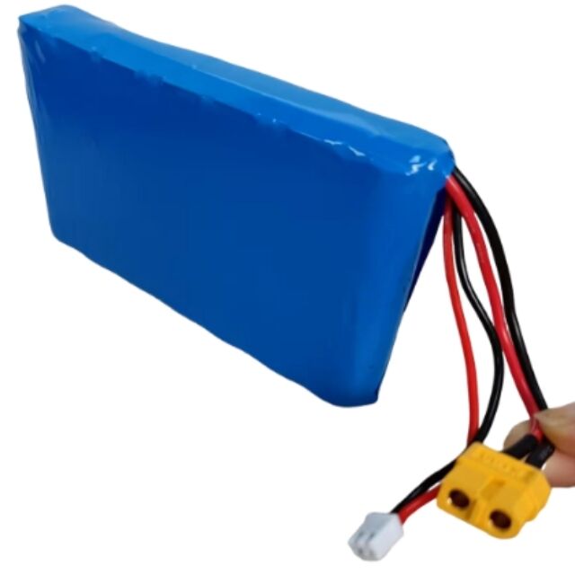 কাস্টম ব্যাটারি প্যাক 7s1p 18650 24V 3500mAh 350W মোটর জন্য Xt60 প্লাগ সহ