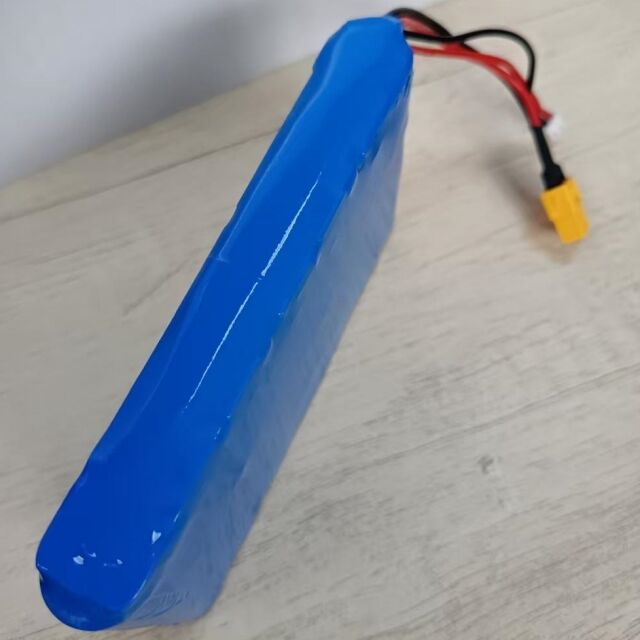 কাস্টম ব্যাটারি প্যাক 7s1p 18650 24V 3500mAh 350W মোটর জন্য Xt60 প্লাগ সহ
