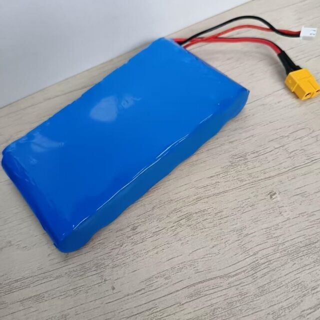 কাস্টম ব্যাটারি প্যাক 7s1p 18650 24V 3500mAh 350W মোটর জন্য Xt60 প্লাগ সহ